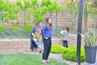 DSC_7449 (Large).JPG